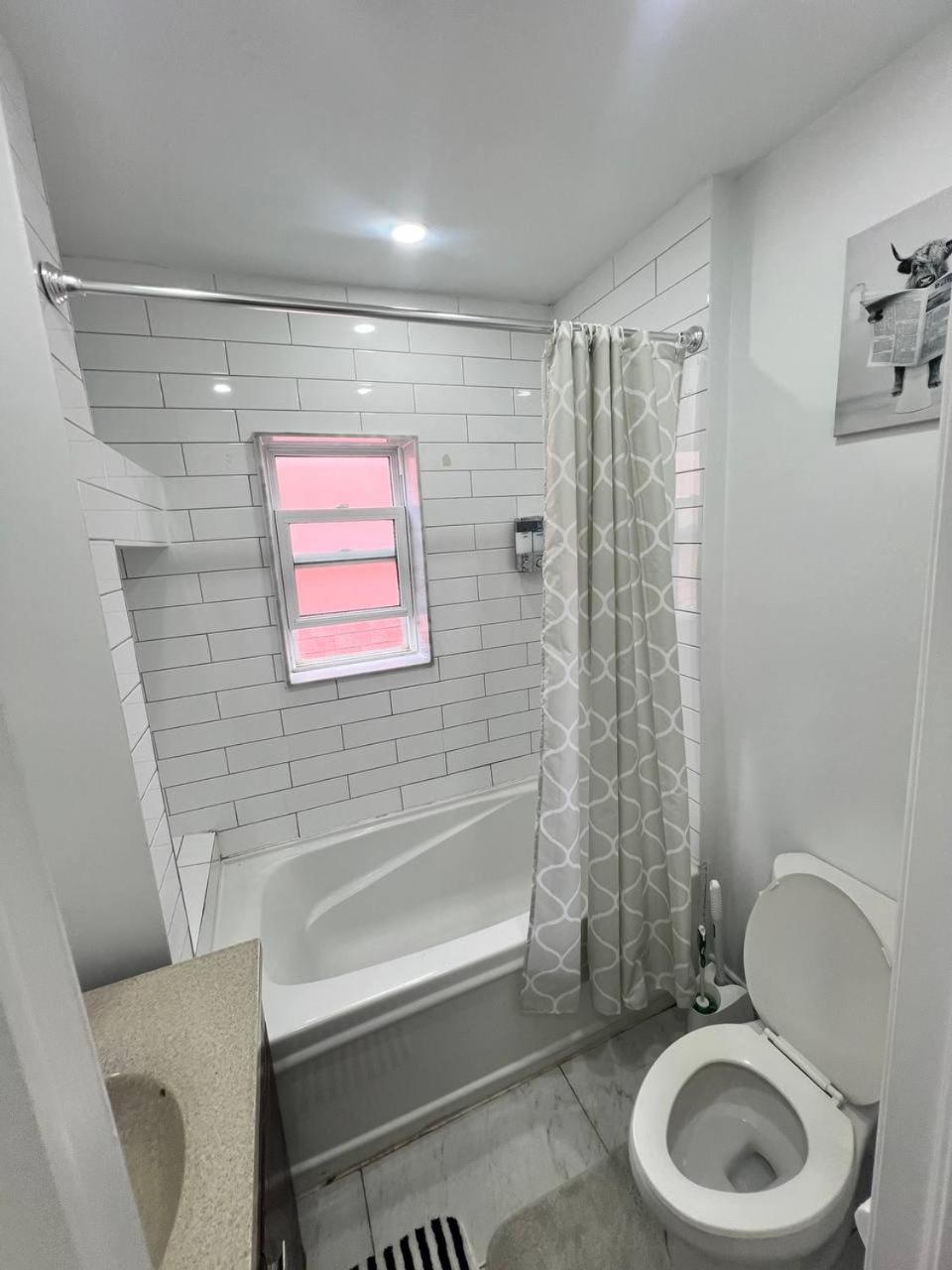 #1 Convvy-Nient Residence! 토론토 외부 사진